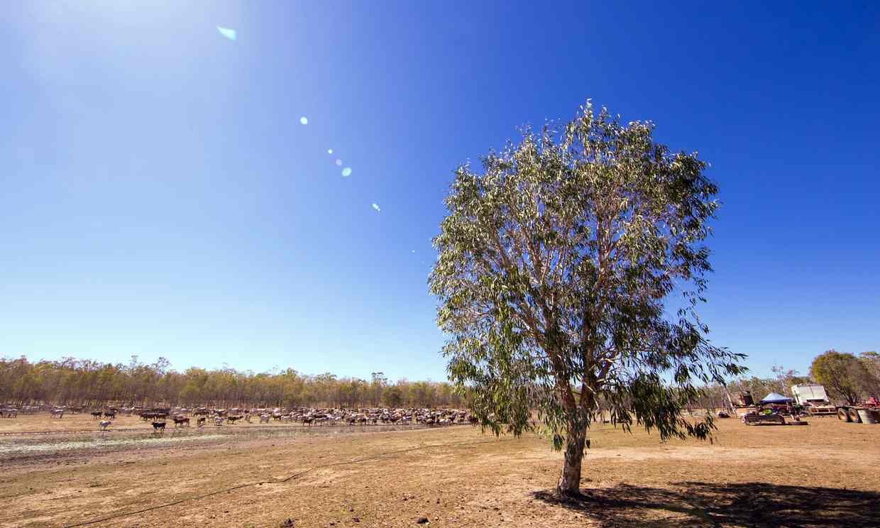 Indigenous community lets tourists in on newly won Australian homeland
