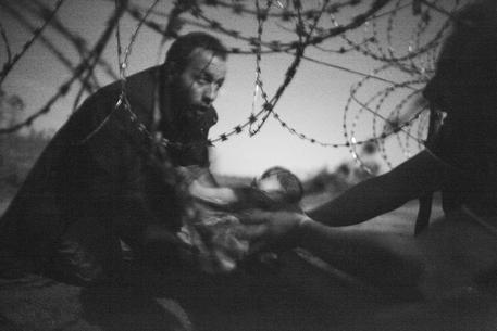 Foto dell’anno scattata al confine tra Ungheria e Serbia