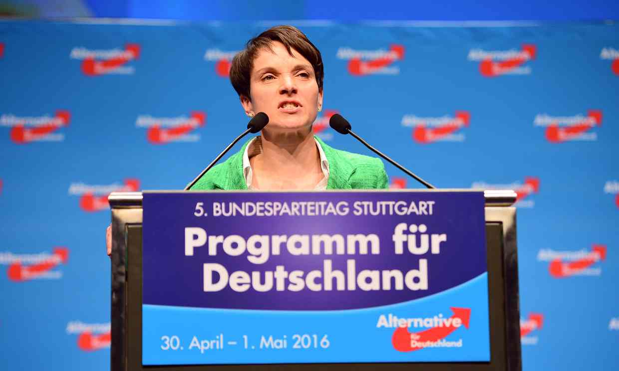 German far-right party calls for ban on minarets and burqa
