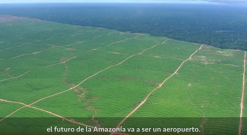 La comunità peruviana che resiste all’avanzata dell’olio di palma