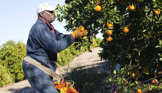 El 70% de los trabajadores extranjeros ha sufrido algún tipo de discriminación o explotación en el trabajo