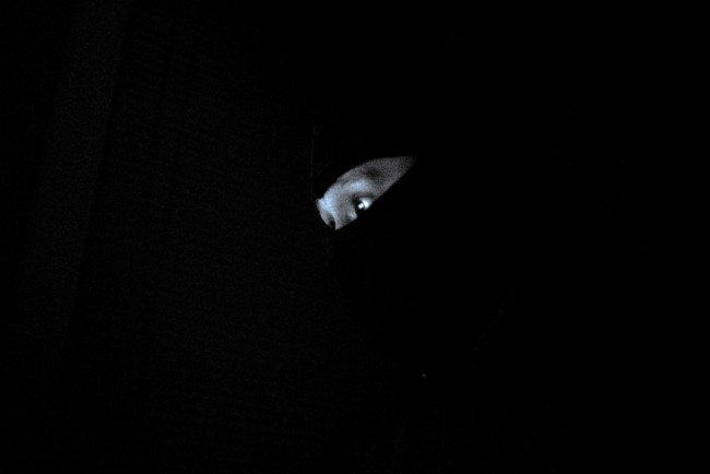 Vie privée : le guide pour rester anonyme sur Internet