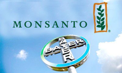 Monsanto and Bayer: Why Food And Agriculture Just Took A Turn For The Worse