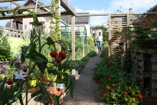 L’extraordinaire productivité d’un petit potager de 50 m2 : un exemple pour nourrir la ville de demain ?