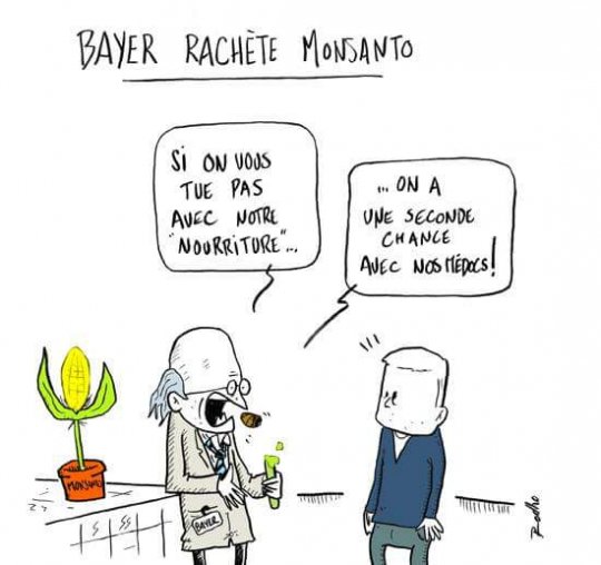En achetant Monsanto, Bayer contrôlera près d’un tiers du marché mondial des semences