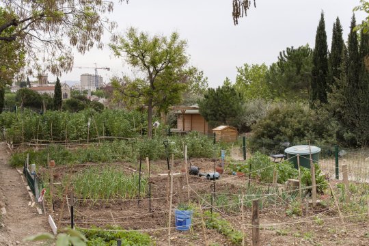 Quand l’écologie populaire permet de lutter contre la désespérance sociale et la criminalité