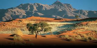 Poesia del giorno. Anonimo della Namibia