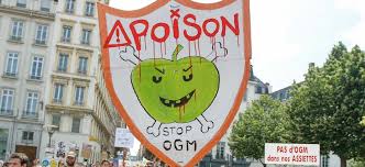 « OGM cachés » : le Conseil d’État fait valoir le principe de précaution