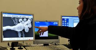 Disastro Italia, i giovani non trovano lavoro nemmeno nel digitale
