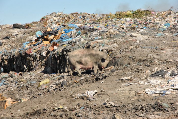 En Albanie, le commerce lucratif des déchets étrangers