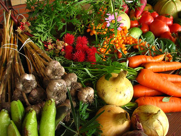 La France, championne d’Europe de l’agriculture bio en circuit court, mais plus pour longtemps…