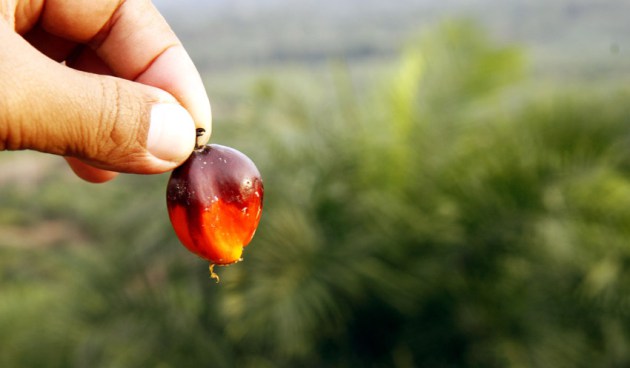 ‘Senza olio di palma’: il meno che diventa più
