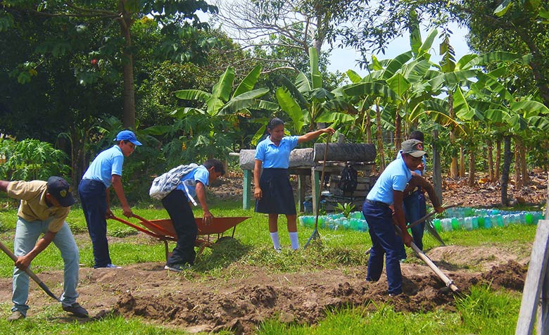 Au Venezuela, la permaculture s’invite à l’école