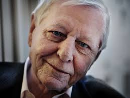 Poesia del giorno. Hans Magnus Enzensberger