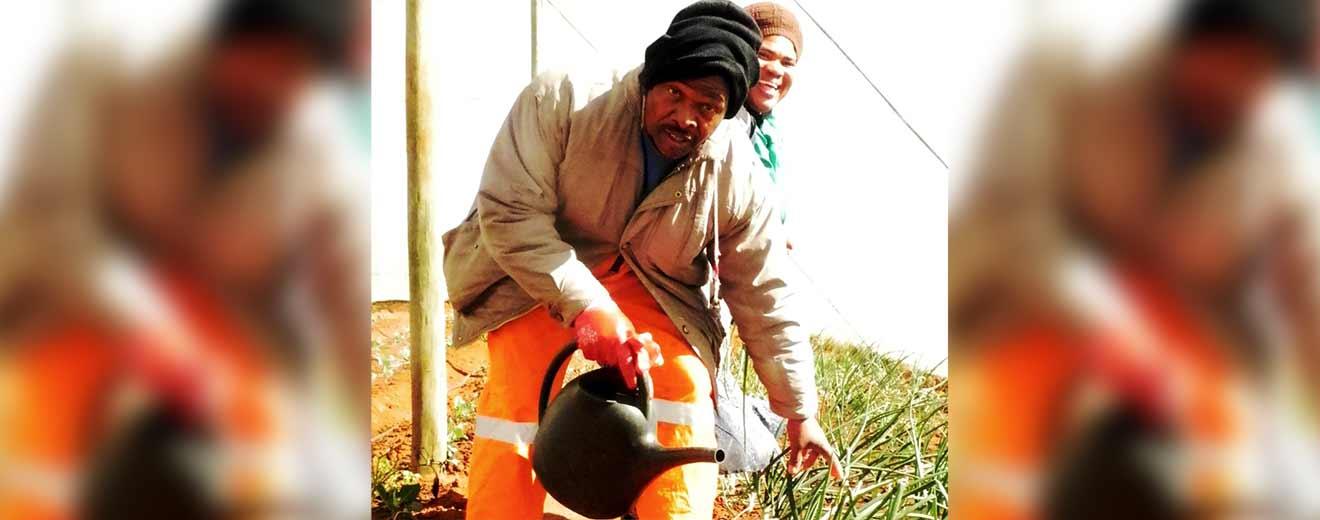 Urban farming produces more than just food for the poor