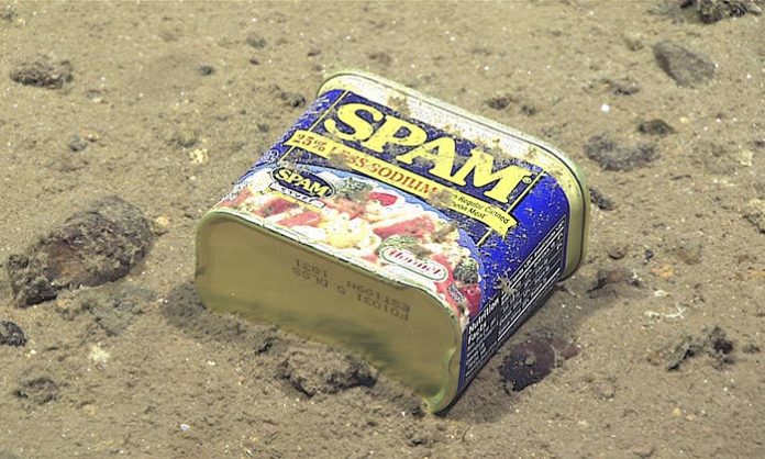 Les fonds marins également pollués. Un rapport lève le voile.