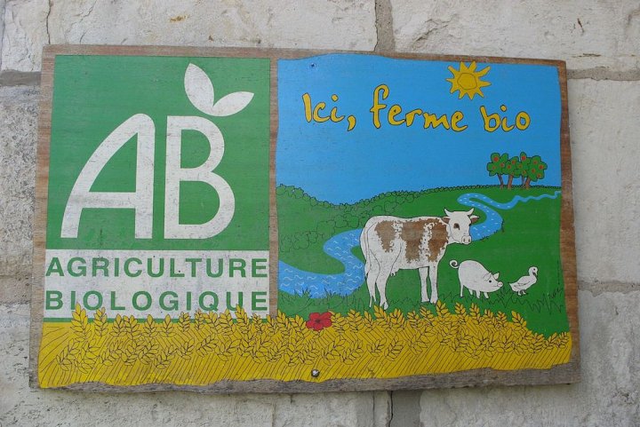 L’invraisemblable retard des aides aux agriculteurs bio