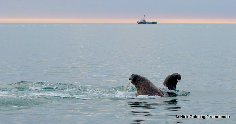 Documents Reveal Norweigan Officials Teamed With Oil Lobby To Stop Ban On Arctic Oil Drilling