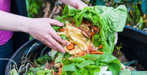 Roma: food sharing contro gli sprechi alimentari