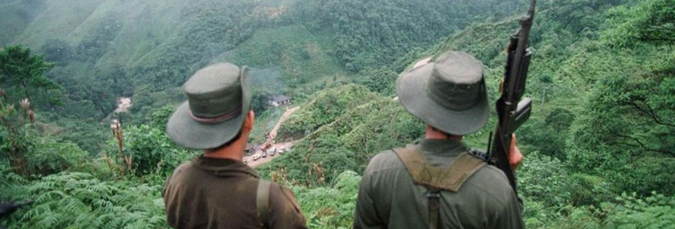 Niente più Farc, molta più coca