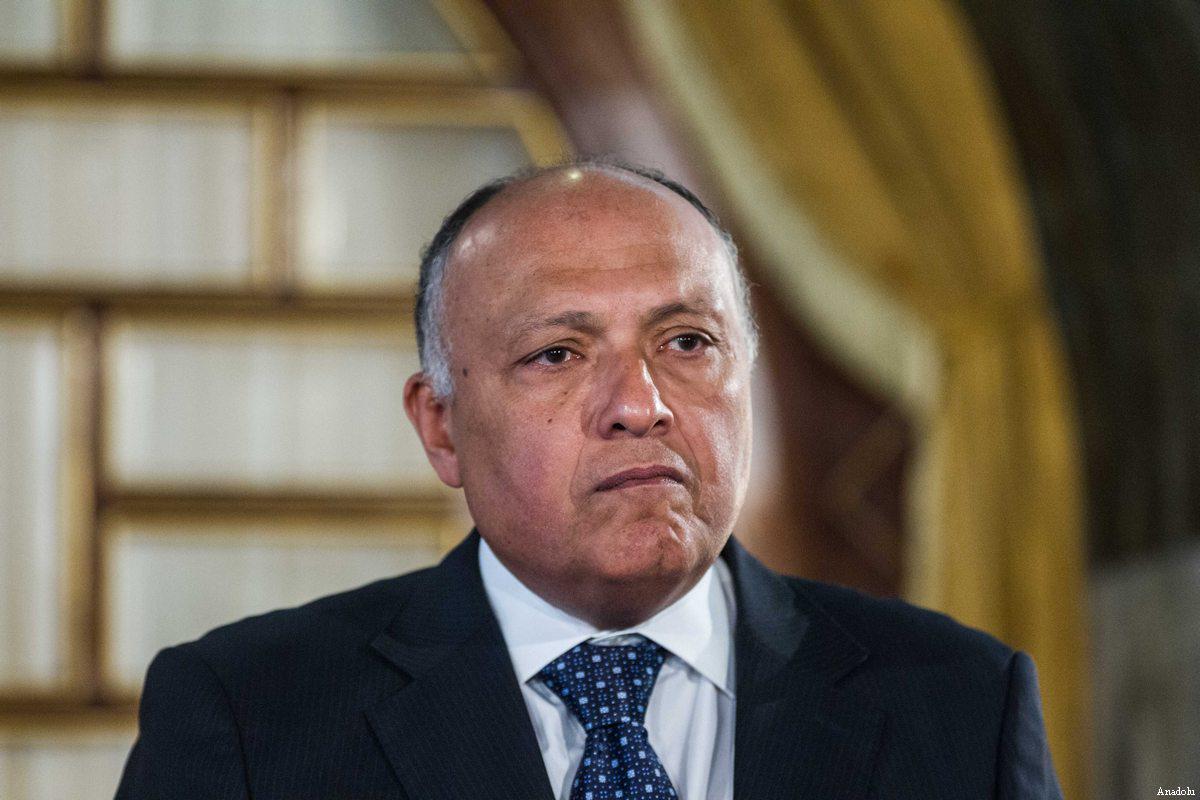 Libya airstrikes were legitimate self-defence, says Egypt FM