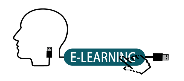 E-learning filling gaps in education in Africa