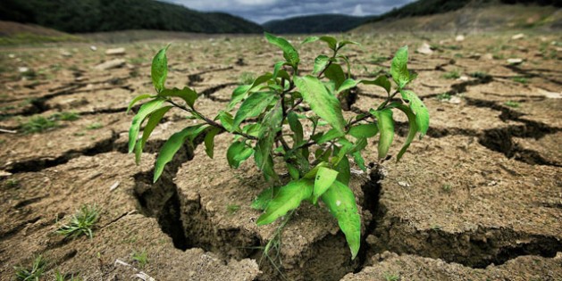 Mideast: Drought to Turn People into Eternal Migrants, Prey to Extremism?