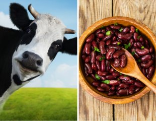 How You Can Help Save the Planet—and Yourself—Simply by Substituting Beans for Beef