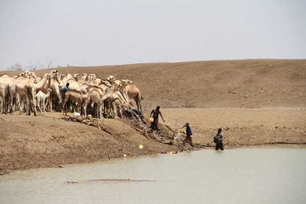 East Africa’s Poor Rains: Hunger Worsened, Crops Scorched, Livestock Dead