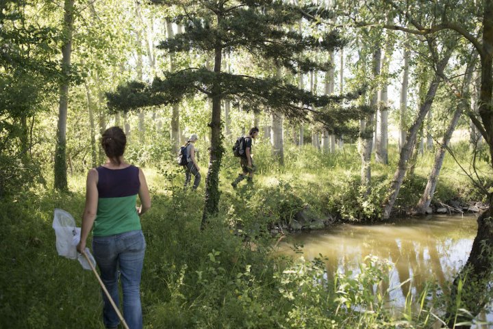 Contre le projet autoroutier A 45, les naturalistes entrent en jeu