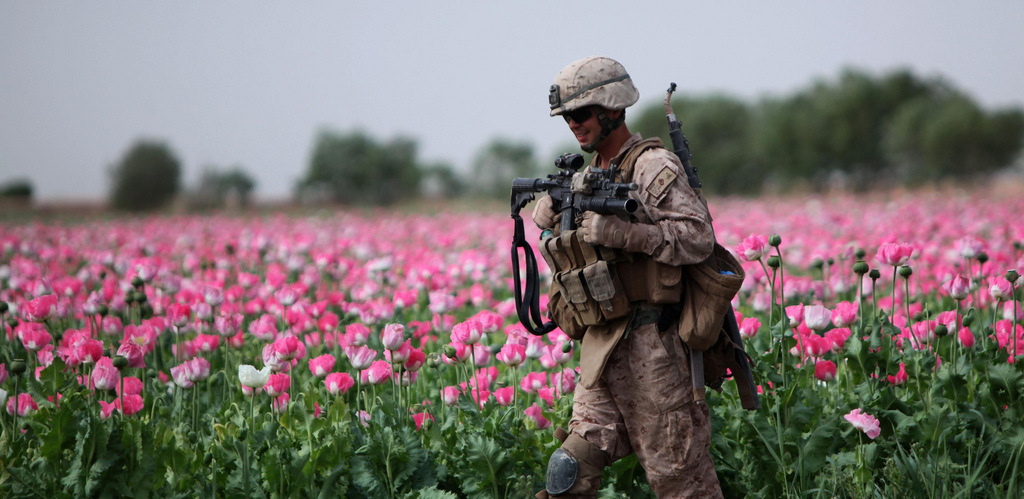 Brave Congressman Explains How US Keeps Afghan Heroin Trade Alive at Your Expense