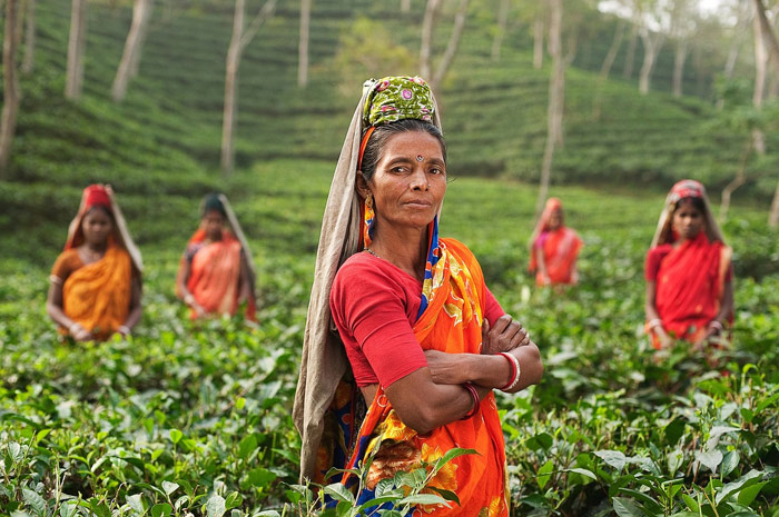 Empowering Women Can Bring About Development