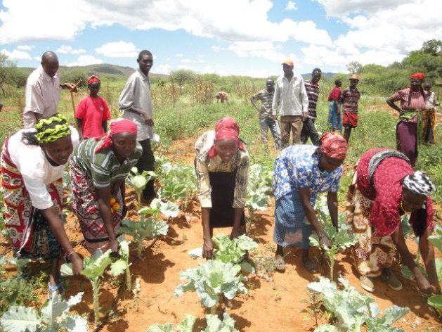 Climate-Smart Agriculture Urgently Needed in Africa