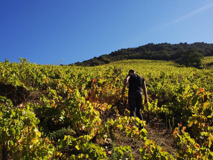 Crise agricole : comment empêcher banques et créanciers de s’enrichir grâce au sur-endettement des paysans