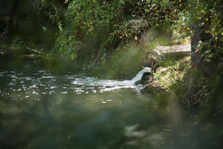 En Bretagne, une pollution de Lactalis a dévasté une rivière