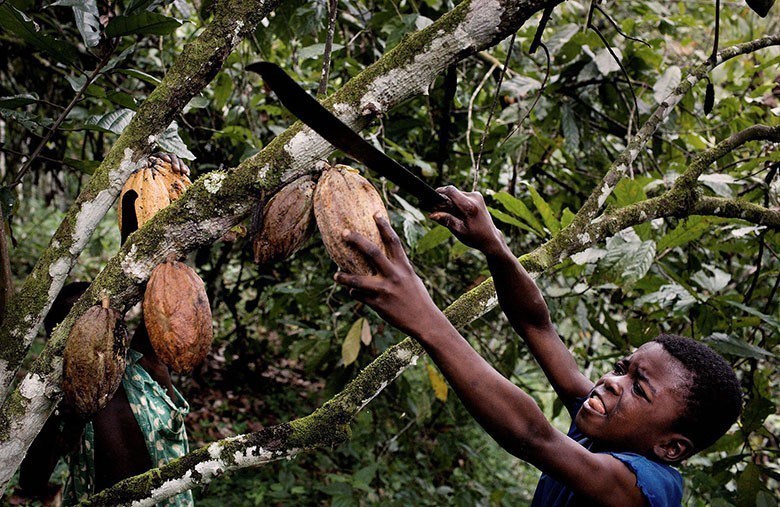 Contre l’exploitation des enfants, le chocolat équitable est un impératif pour Artisans du Monde