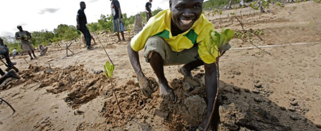 Communities Can be Role Models for Sustainable Development