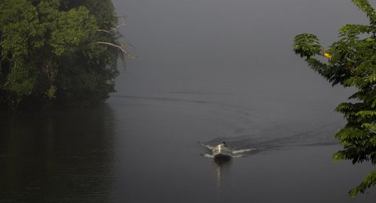 La privatización de la Amazonia brasileña