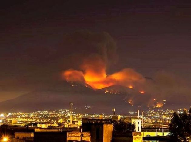 Foreste e incendi 2017: cosa ci dice la scienza