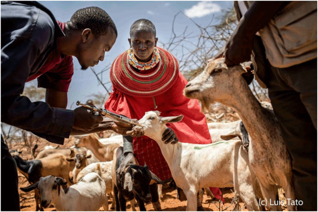 Innovation for Climate-Smart Agriculture Key to Ending Hunger in Kenya
