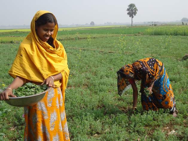 Women are Pivotal to Addressing Hunger, Malnutrition and Poverty