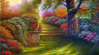 My Backyard