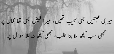 Urdu, What Did I Do?