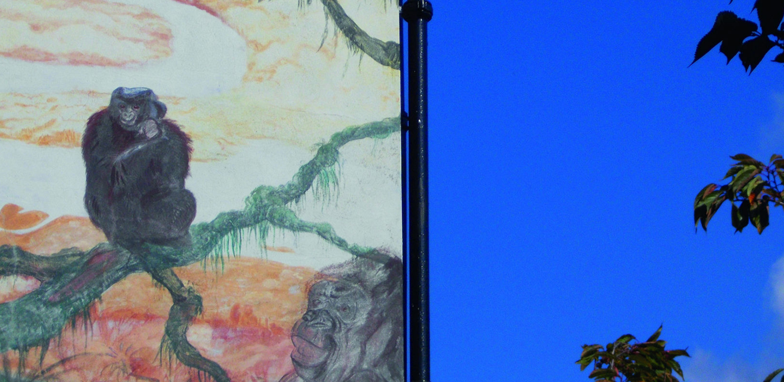 🌐 WOMEN’S STORIES _ Blue Skies Exhibition