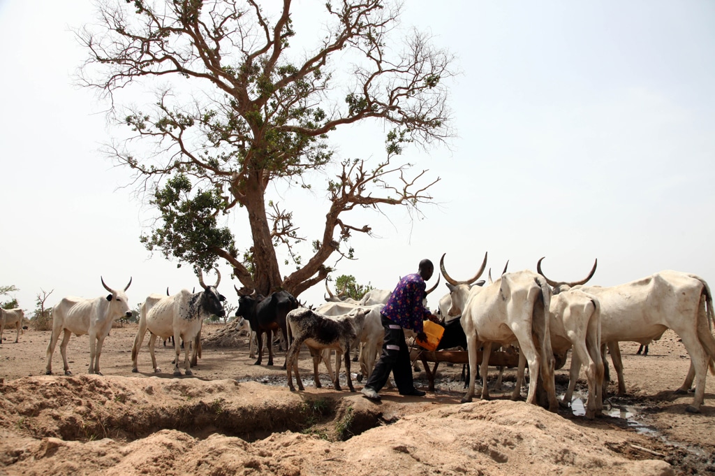 La crisi della Nigeria ha le radici nella terra