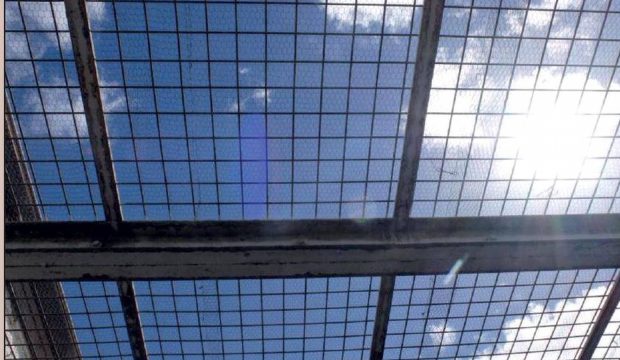 L’esempio virtuoso dei Paesi Bassi: detenuti dimezzati