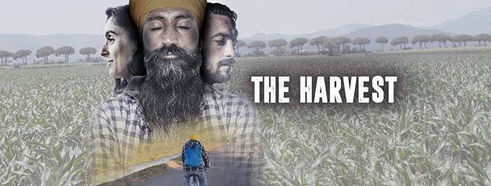 The Harvest: la denuncia del caporalato nell’Agro Pontino