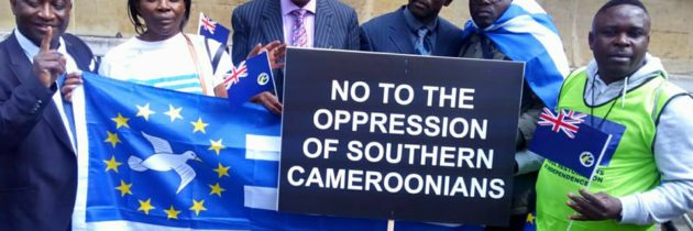 Ambazonia, i separatisti: «Basta repressione, ora ci difenderemo»