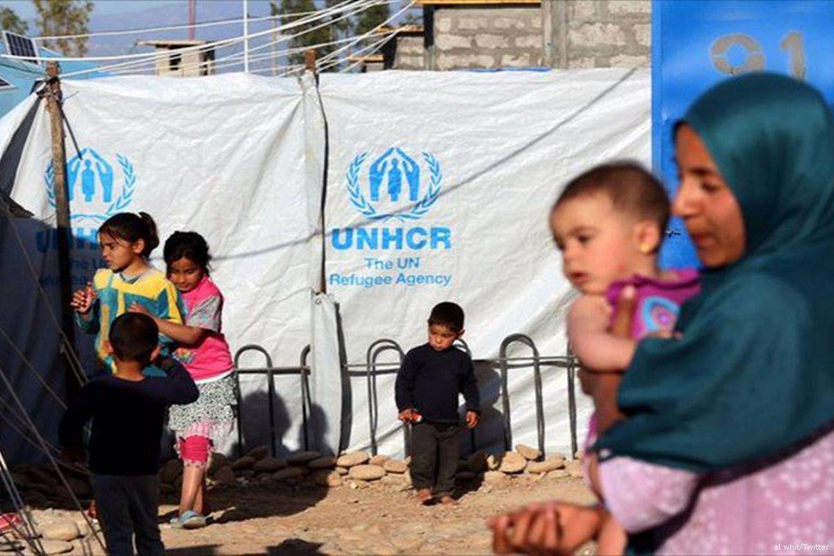 Palestine refugees: Perpetual displacements and no return