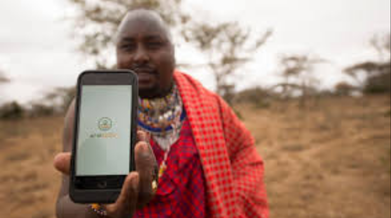 Kenyan herders turn to grazing app to cut drought risks
